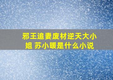 邪王追妻废材逆天大小姐 苏小暖是什么小说