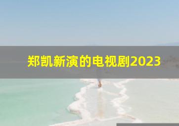 郑凯新演的电视剧2023