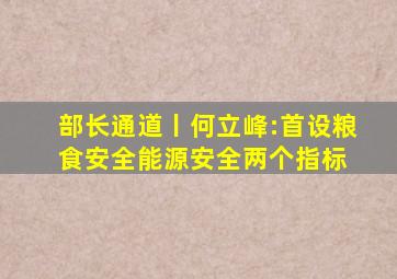 部长通道丨何立峰:首设粮食安全、能源安全两个指标 