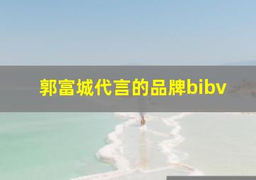 郭富城代言的品牌bibv