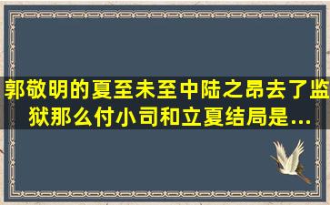 郭敬明的《夏至未至》中,陆之昂去了监狱,那么付小司和立夏结局是...