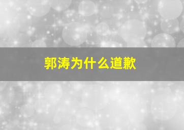 郭涛为什么道歉