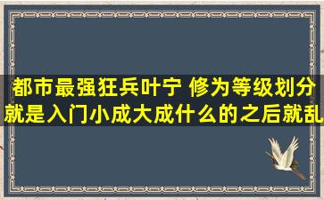 都市最强狂兵叶宁 修为等级划分,就是入门小成大成什么的。之后就乱了