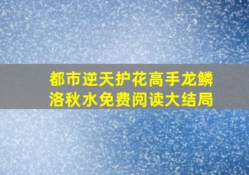 都市逆天护花高手龙鳞洛秋水免费阅读大结局