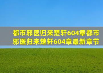 都市邪医归来楚轩604章都市邪医归来楚轩604章最新章节