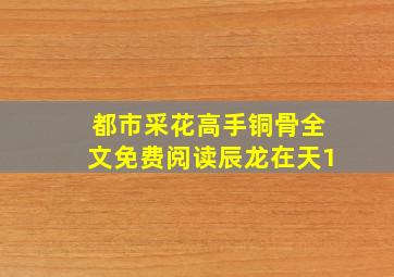 都市采花高手铜骨全文免费阅读辰龙在天1