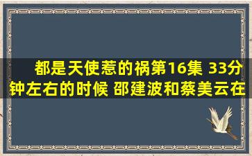 都是天使惹的祸第16集 33分钟左右的时候 邵建波和蔡美云在餐厅里时...