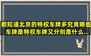 都知道北京的特权车牌多。究竟哪些车牌是特权车牌,又分别是什么...