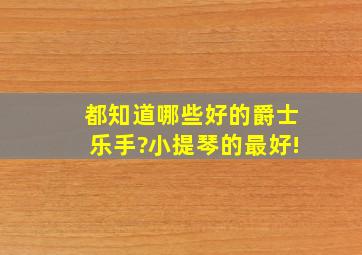 都知道哪些好的爵士乐手?小提琴的最好!