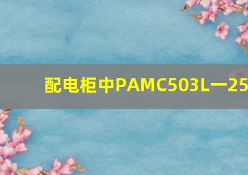 配电柜中PAMC503L一250