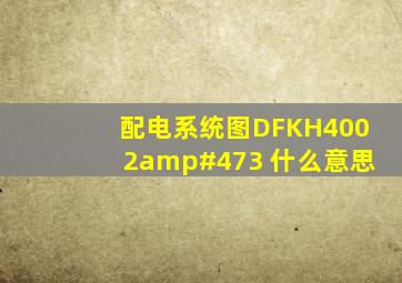 配电系统图DFKH4002/3 什么意思