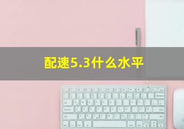 配速5.3什么水平