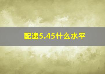 配速5.45什么水平