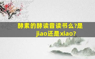 酵素的酵读音读书么?是jiao还是xiao?