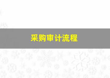 采购审计流程