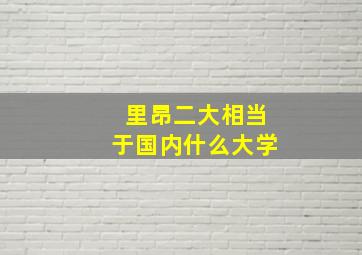 里昂二大相当于国内什么大学