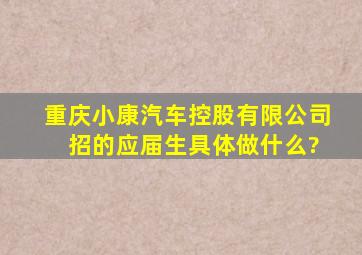 重庆小康汽车控股有限公司 招的应届生具体做什么?