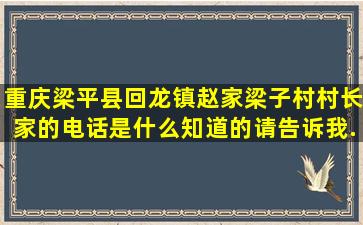 重庆梁平县回龙镇赵家梁子村村长家的电话是什么,知道的请告诉我...