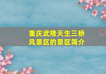 重庆武隆天生三桥风景区的景区简介