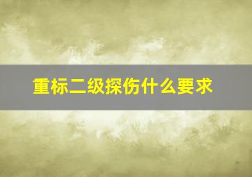 重标二级探伤什么要求