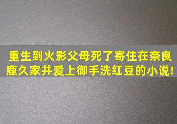 重生到火影,父母死了,寄住在奈良鹿久家,并爱上御手洗红豆的小说!