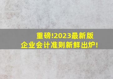 重磅!《2023最新版企业会计准则》新鲜出炉!