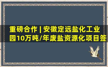 重磅合作 | 安徽定远盐化工业园10万吨/年废盐资源化项目签约落地...