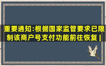 重要通知:根据国家监管要求,已限制该商户号支付功能。前往恢复 |...