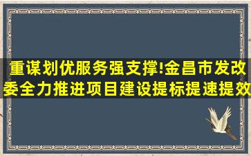 重谋划,优服务,强支撑!金昌市发改委全力推进项目建设提标提速提效