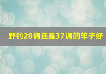 野钓28调还是37调的竿子好(((