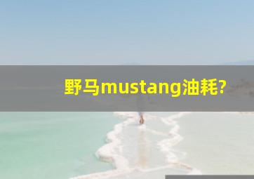 野马mustang油耗?