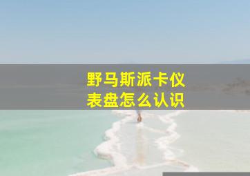 野马斯派卡仪表盘怎么认识