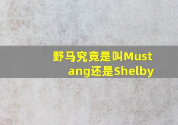 野马究竟是叫Mustang还是Shelby