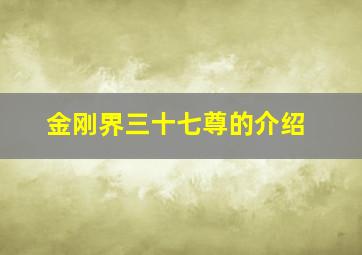 金刚界三十七尊的介绍