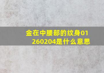 金在中腰部的纹身01260204是什么意思