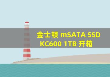 金士顿 mSATA SSD KC600 1TB 开箱 