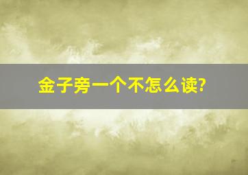 金子旁一个不怎么读?