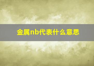 金属nb代表什么意思(