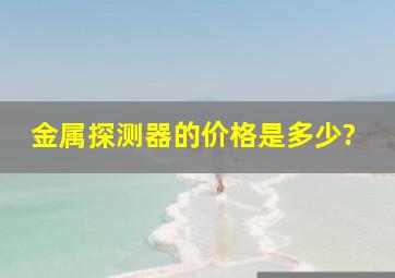 金属探测器的价格是多少?