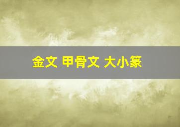 金文 甲骨文 大小篆