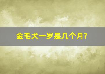 金毛犬一岁是几个月?