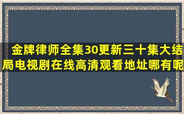 金牌律师全集30(更新三十集大结局)电视剧在线高清观看地址哪有呢?