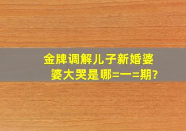 金牌调解儿子新婚婆婆大哭是哪=一=期?