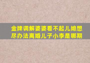 金牌调解婆婆看不起儿媳想尽办法离婚儿子小李是哪期