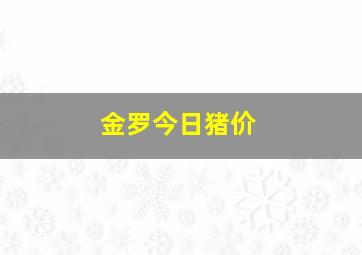 金罗今日猪价