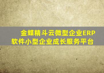 金蝶精斗云微型企业ERP软件小型企业成长服务平台 