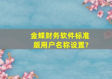 金蝶财务软件标准版用户名称设置?