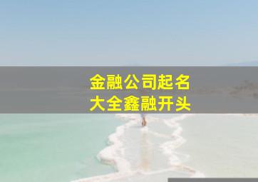 金融公司起名大全鑫融开头