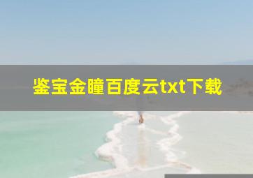 鉴宝金瞳百度云txt下载