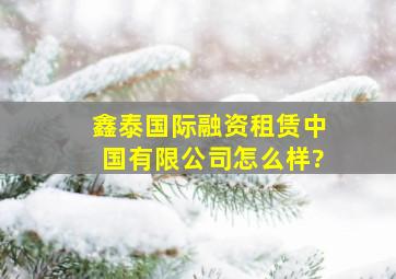 鑫泰国际融资租赁(中国)有限公司怎么样?